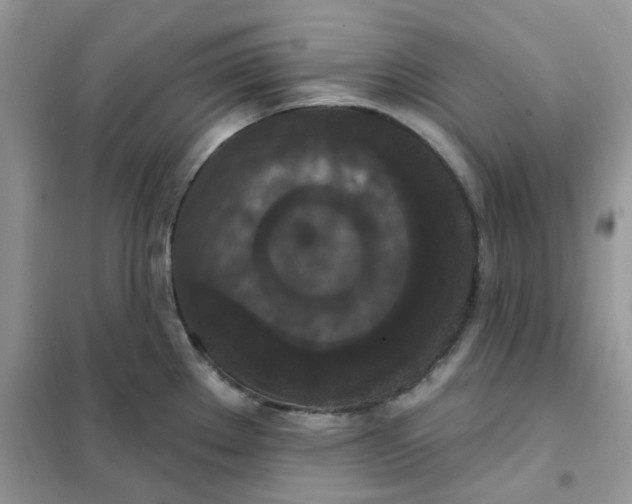 X0000102041289200808011502