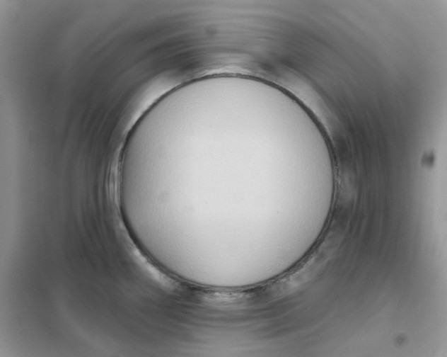 X0000102041290200808011502