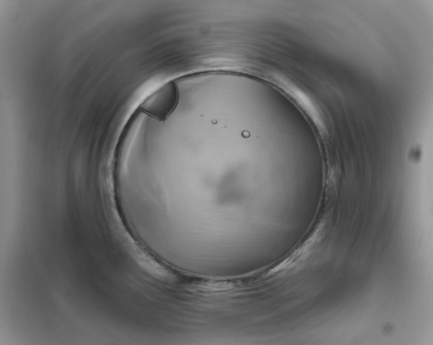 X0000102041291200808011502