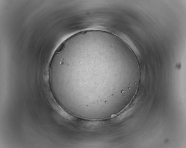 X0000102041292200808011502