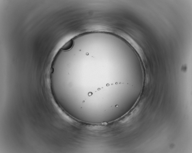 X0000102041293200808011502