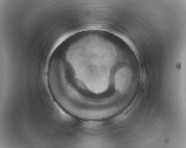 X0000102041294200808011502