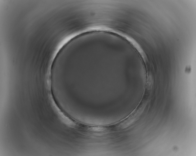 X0000102041295200808011502