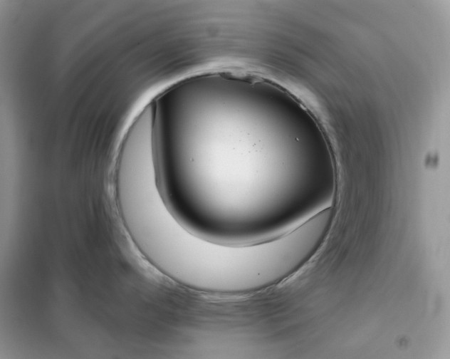 X0000102041296200808011502