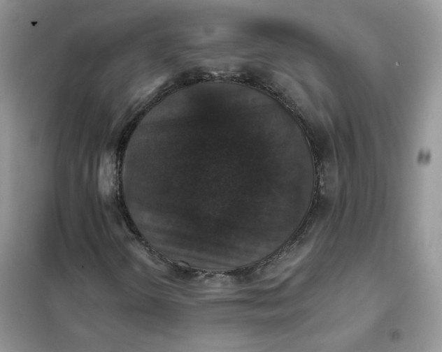 X0000102041298200808011501