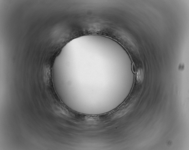 X0000102041299200808011501