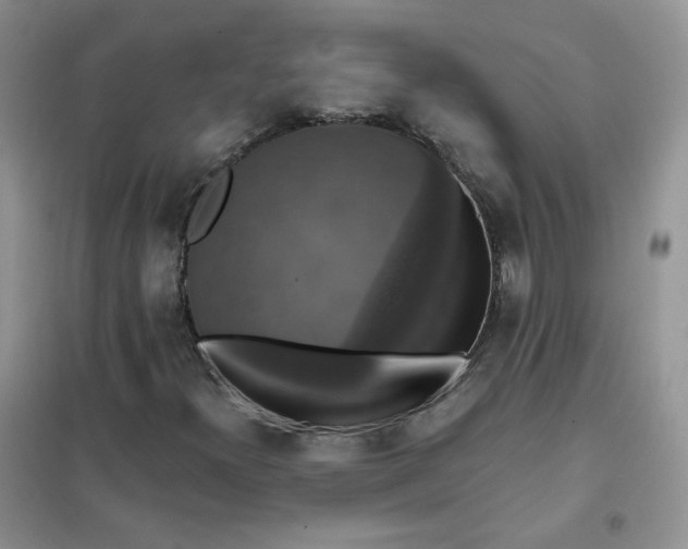 X0000102041300200808011501