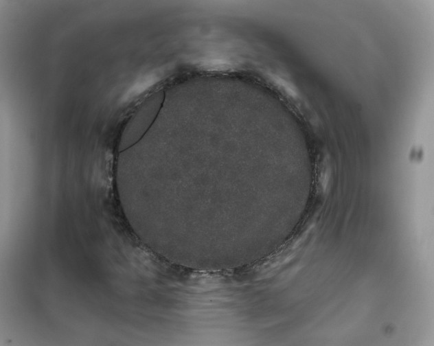 X0000102041301200808011501