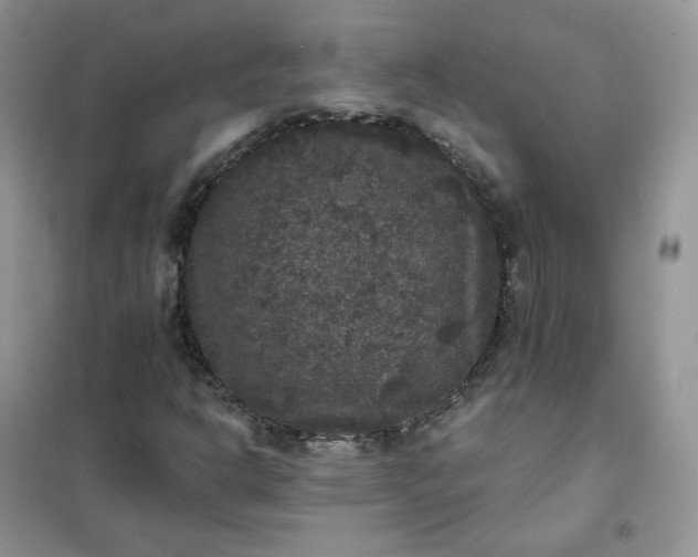 X0000102041302200808011501