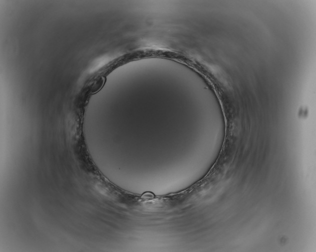 X0000102041303200808011501