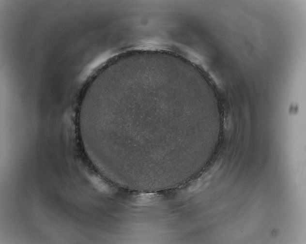 X0000102041304200808011501