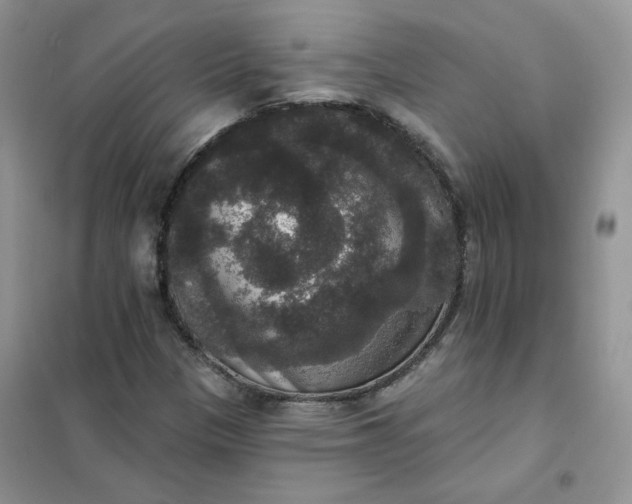 X0000102041305200808011501