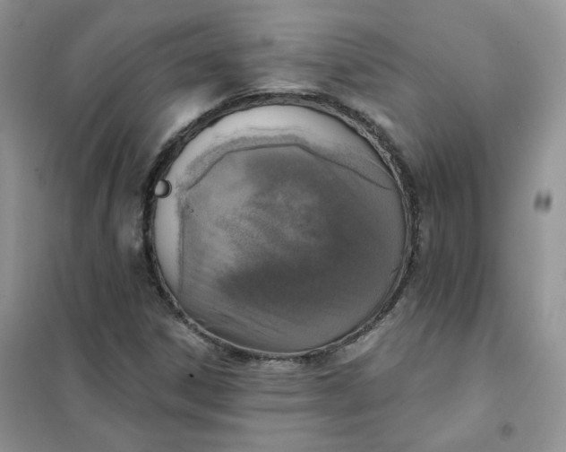 X0000102041306200808011501