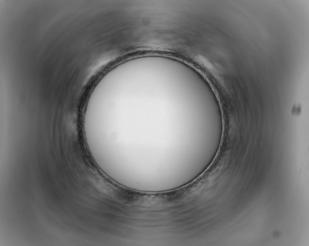 X0000102041307200808011501