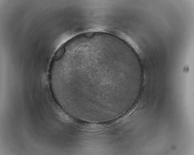 X0000102041308200808011501