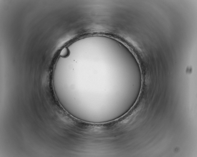 X0000102041309200808011501