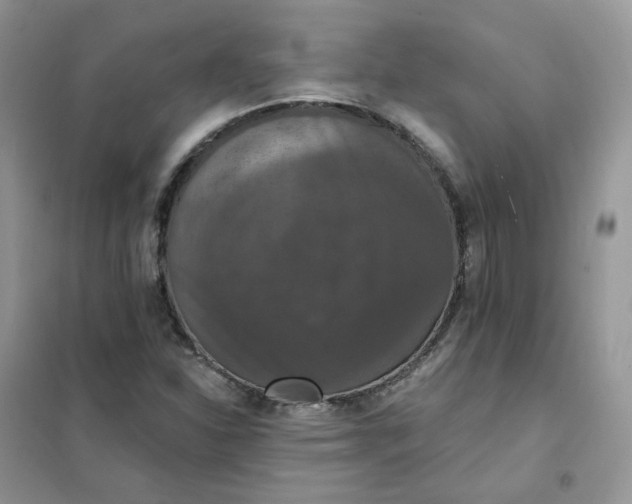 X0000102041310200808011501