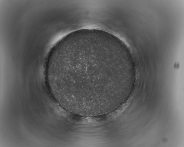 X0000102041311200808011501