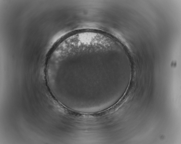 X0000102041312200808011501