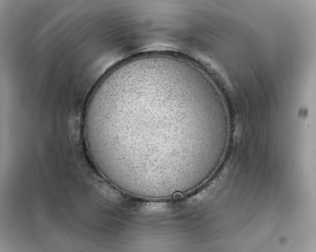 X0000102041313200808011501