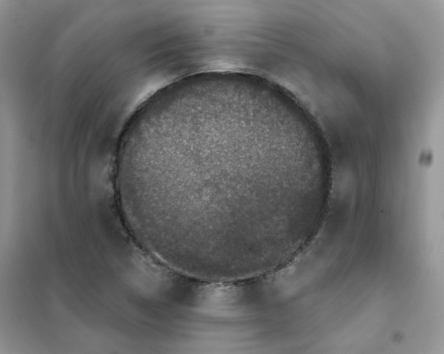 X0000102041314200808011501