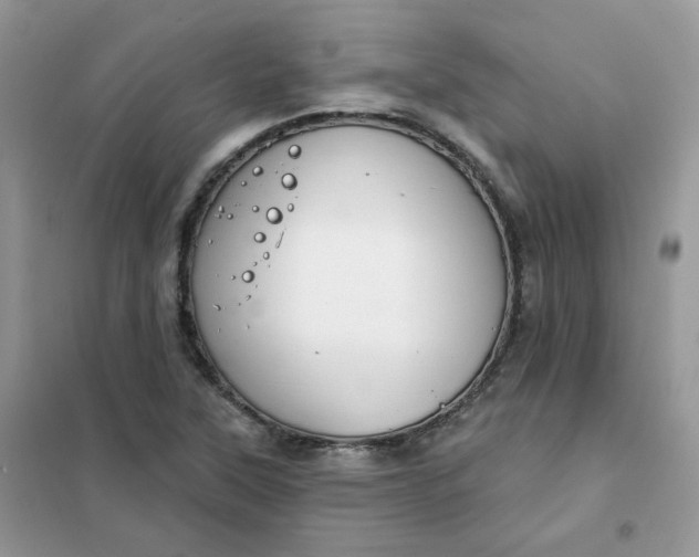 X0000102041315200808011501