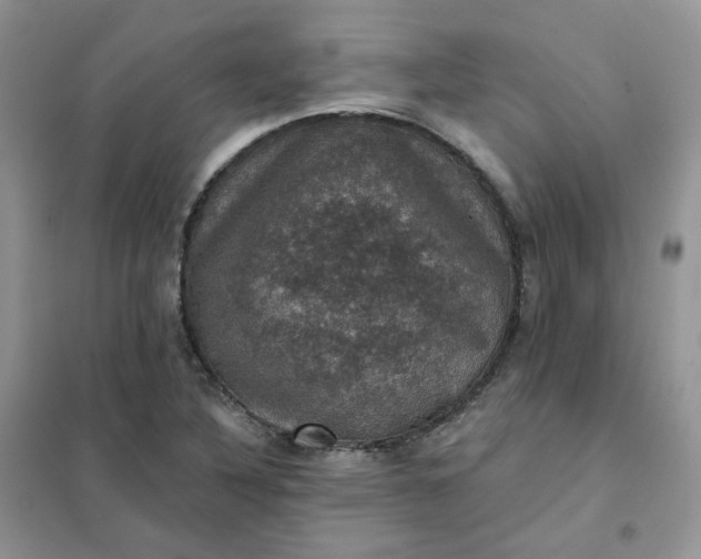 X0000102041316200808011501