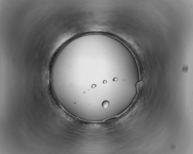 X0000102041317200808011501