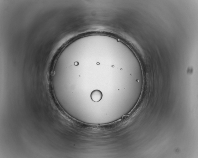 X0000102041318200808011501