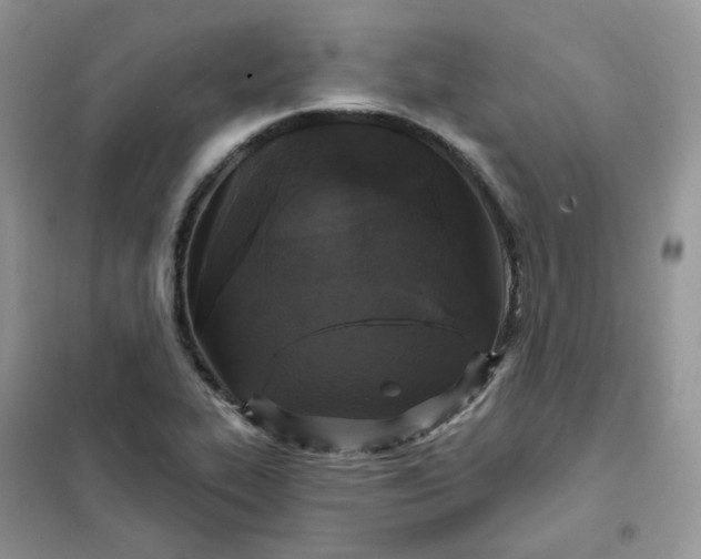 X0000102041319200808011501