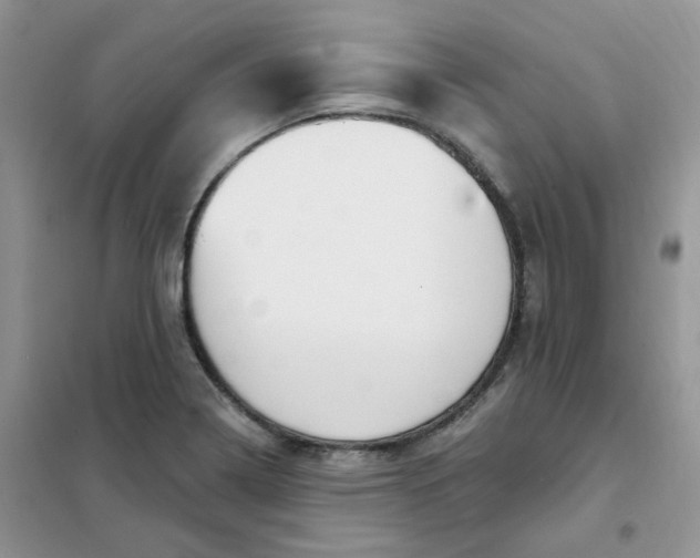 X0000102041322200808011501