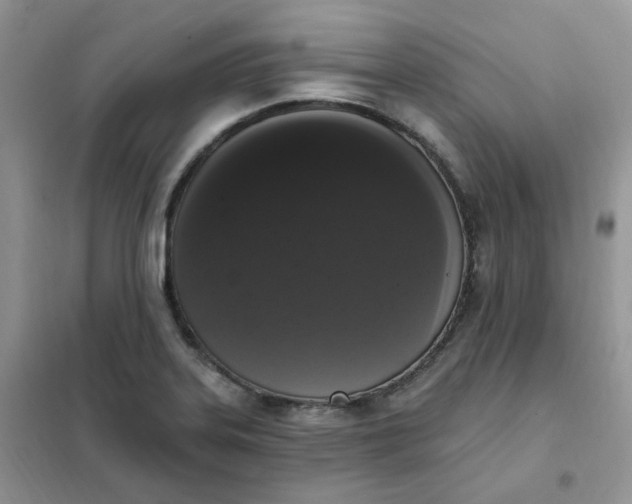 X0000102041323200808011501