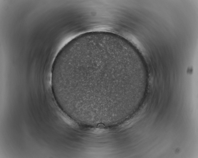 X0000102041324200808011501