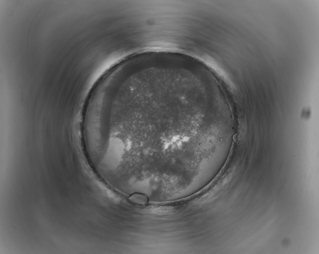 X0000102041325200808011501