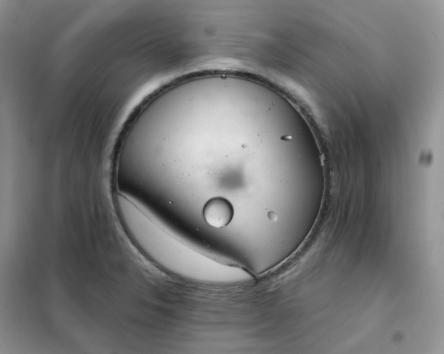 X0000102041326200808011501