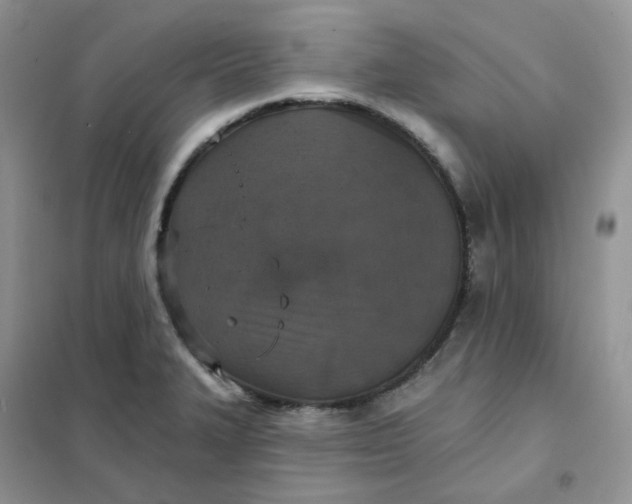 X0000102041327200808011501