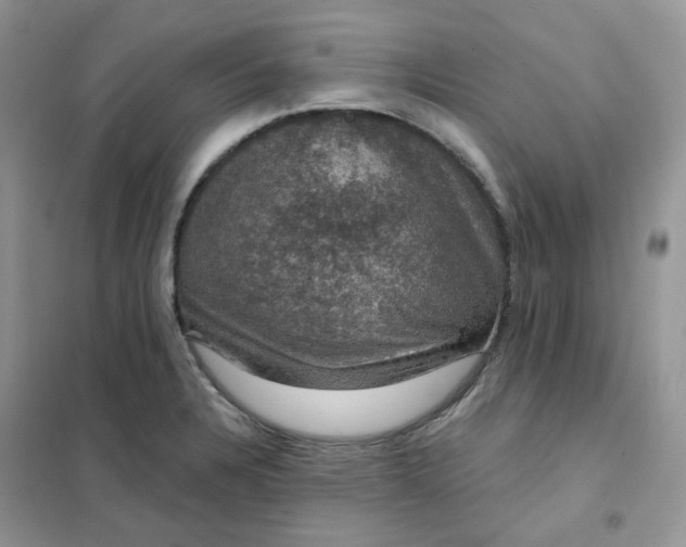 X0000102041328200808011501