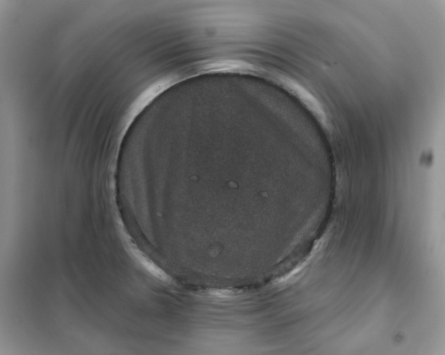 X0000102041330200808011501