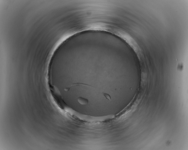 X0000102041331200808011501