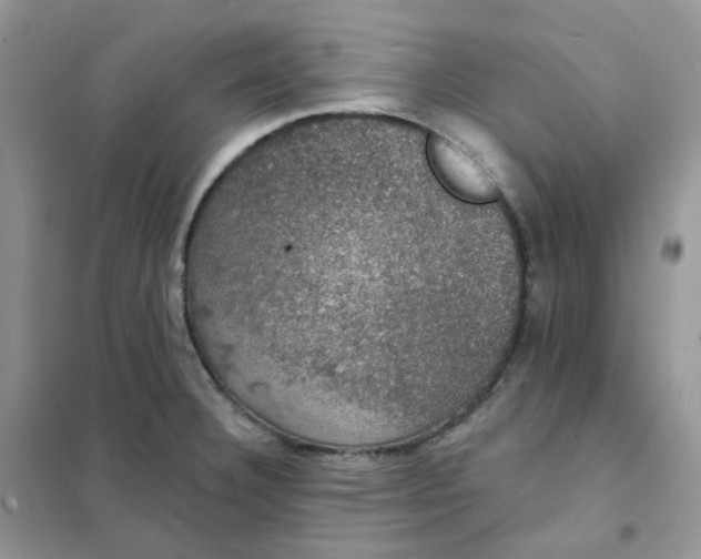 X0000102041332200808011502