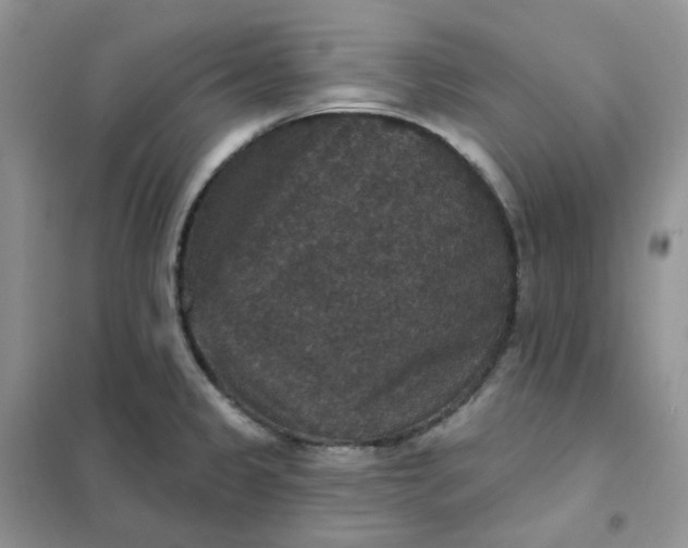 X0000102041333200808011502