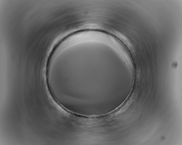 X0000102041334200808011502