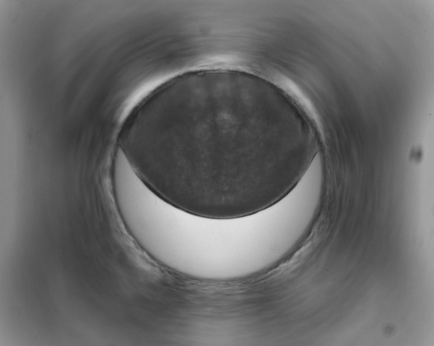 X0000102041336200808011502