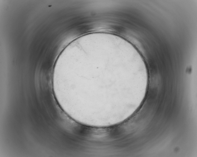 X0000102041338200808011502