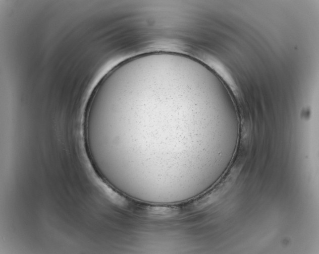 X0000102041339200808011502