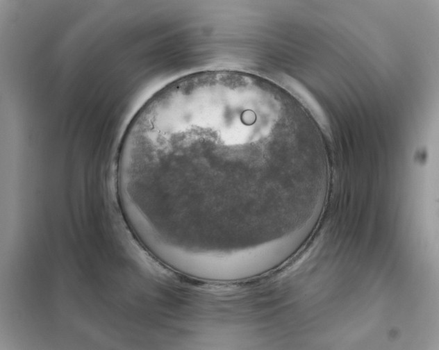 X0000102041340200808011502