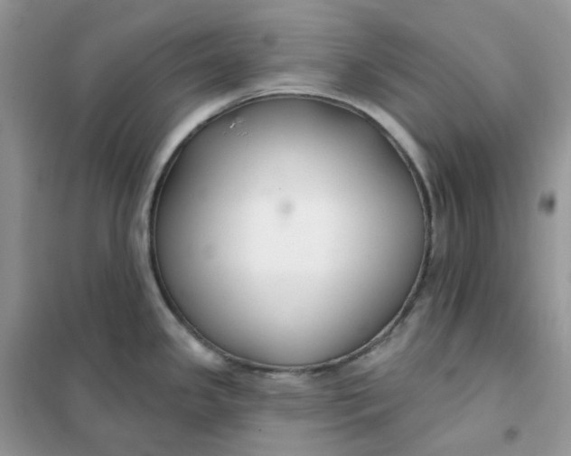 X0000102041341200808011502