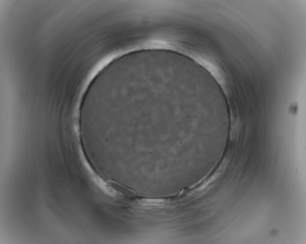 X0000102041342200808011502