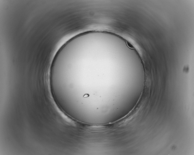 X0000102041343200808011502