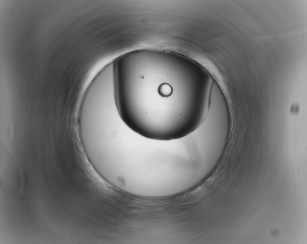 X0000102041344200808011502